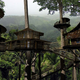Illustration for article titled Bellavista's Biodigesting Treehouses Are Endor on Earth